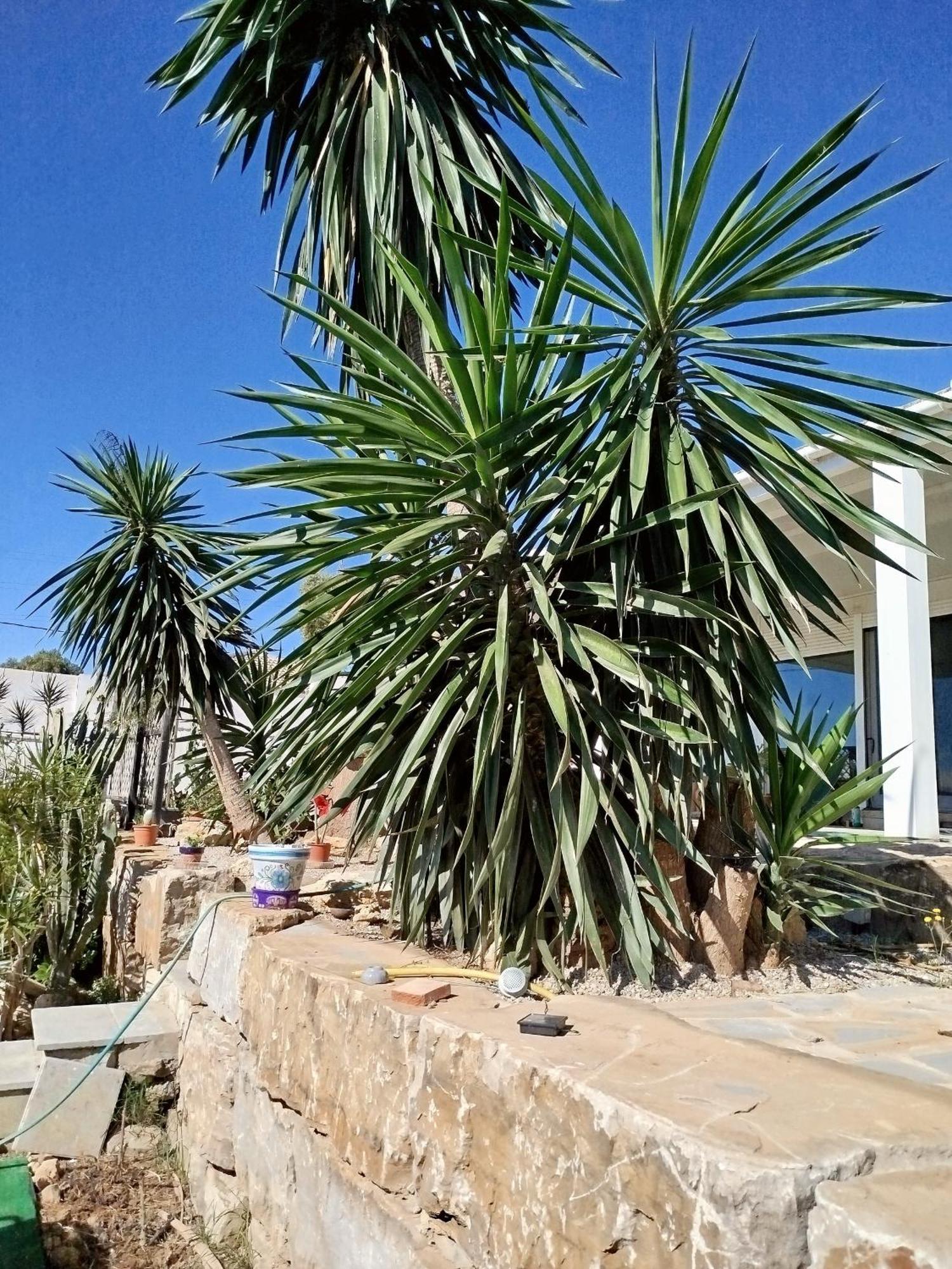 San Roque Countryside Annex Διαμέρισμα Εξωτερικό φωτογραφία